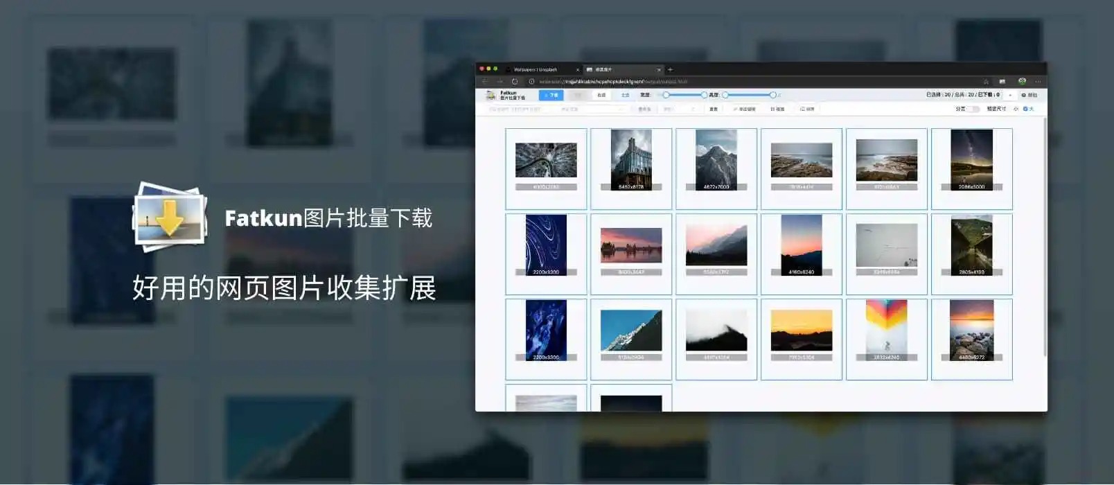 浏览器网页图片下载插件