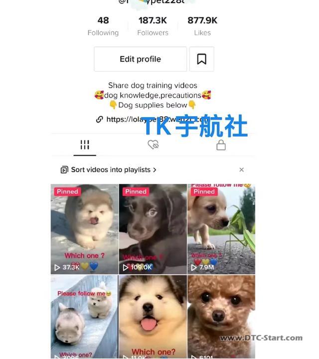 tiktok账号粉丝购买,TIKTOK如何快速养成账号标签