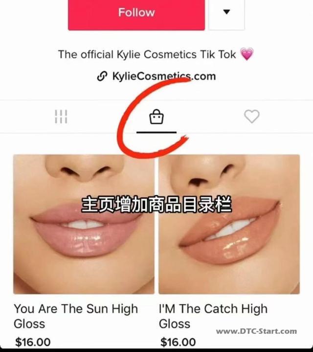 tiktok独立站,Shopify借势TikTok为独立站卖家赋能