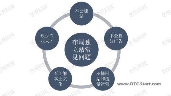 shopify建站布局,独立站 Vs 跨境电商平台