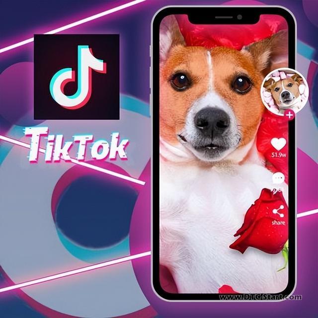 tiktok 适合的品类,Tik Tok上线宠物类商品有望爆单