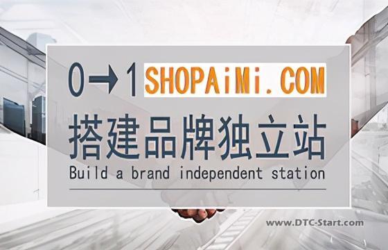 shopify域名,这些独立站域名取名工具