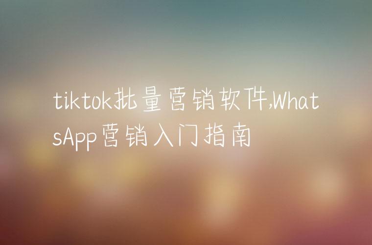 tiktok批量营销软件,WhatsApp营销入门指南