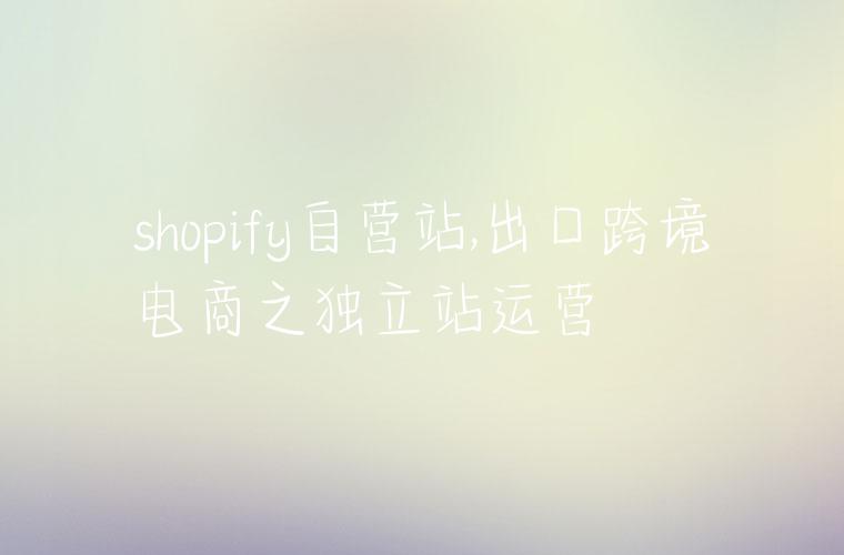 shopify自营站,出口跨境电商之独立站运营