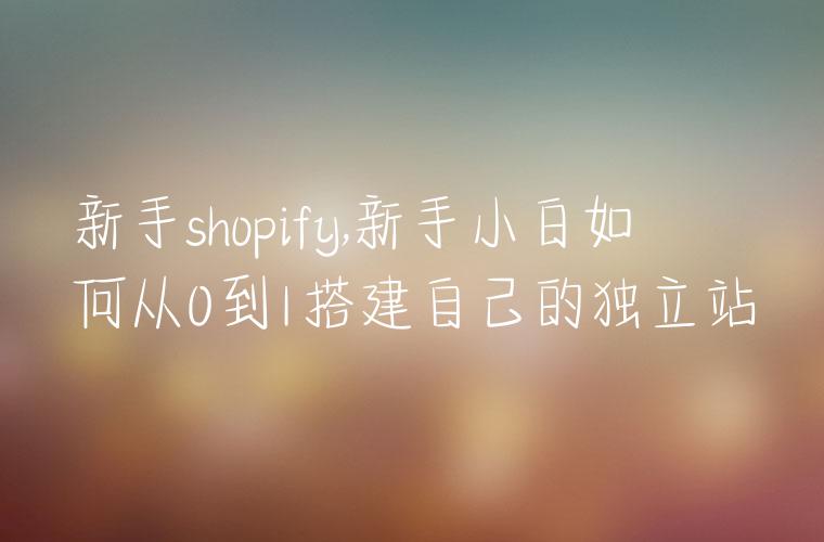 新手shopify,新手小白如何从0到1搭建自己的独立站