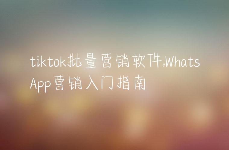 tiktok批量营销软件,WhatsApp营销入门指南