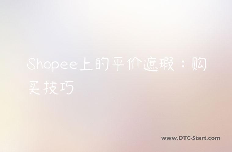Shopee上的平价遮瑕：购买技巧