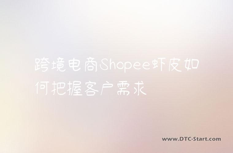 跨境电商Shopee虾皮如何把握客户需求