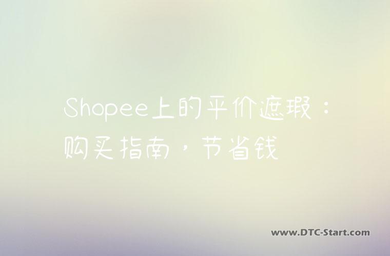 Shopee上的平价遮瑕：购买指南，节省钱