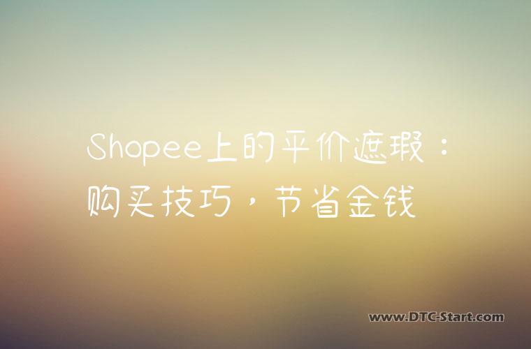 Shopee上的平价遮瑕：购买技巧，节省金钱