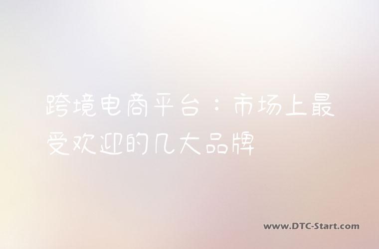 跨境电商平台：市场上最受欢迎的几大品牌