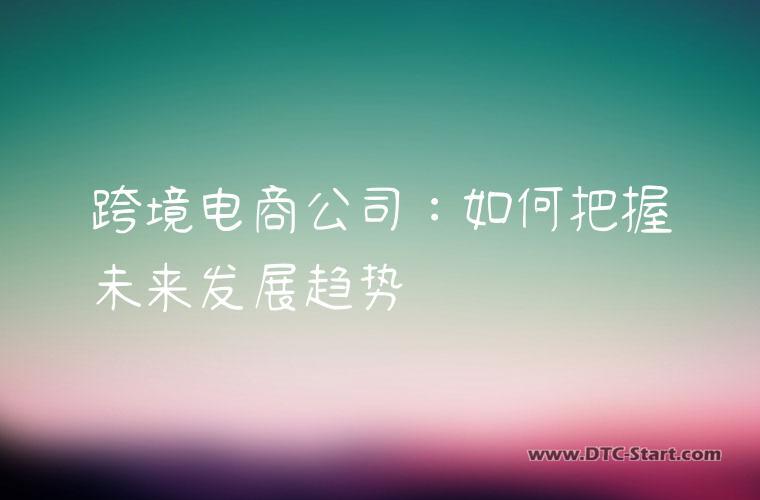 跨境电商公司：如何把握未来发展趋势