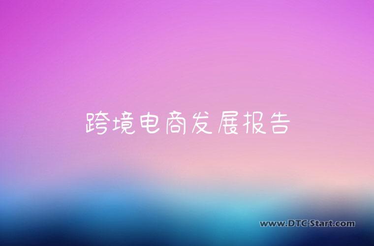 跨境电商发展报告