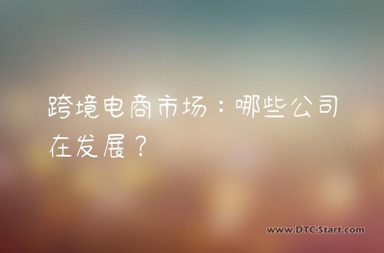 跨境电商市场：哪些公司在发展？