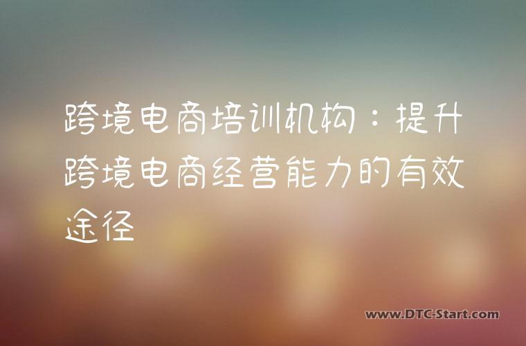 跨境电商培训机构：提升跨境电商经营能力的有效途径