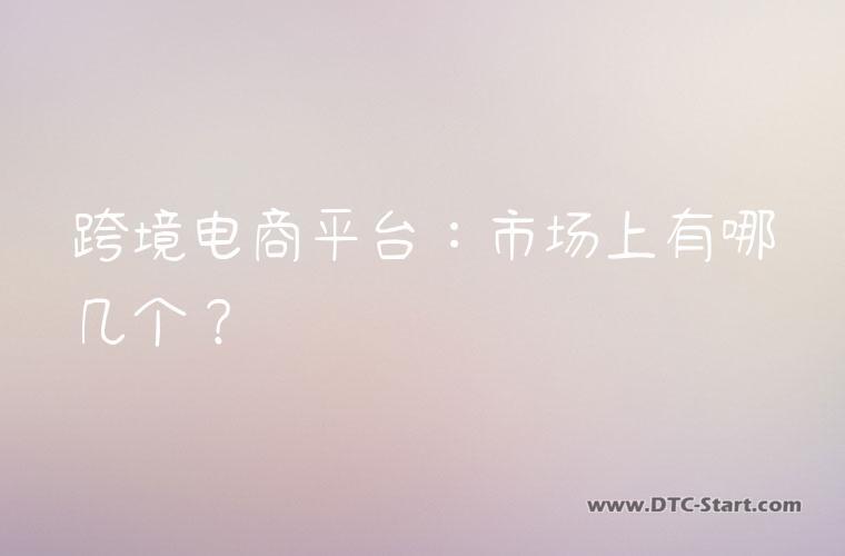 跨境电商平台:市场上有哪几个?